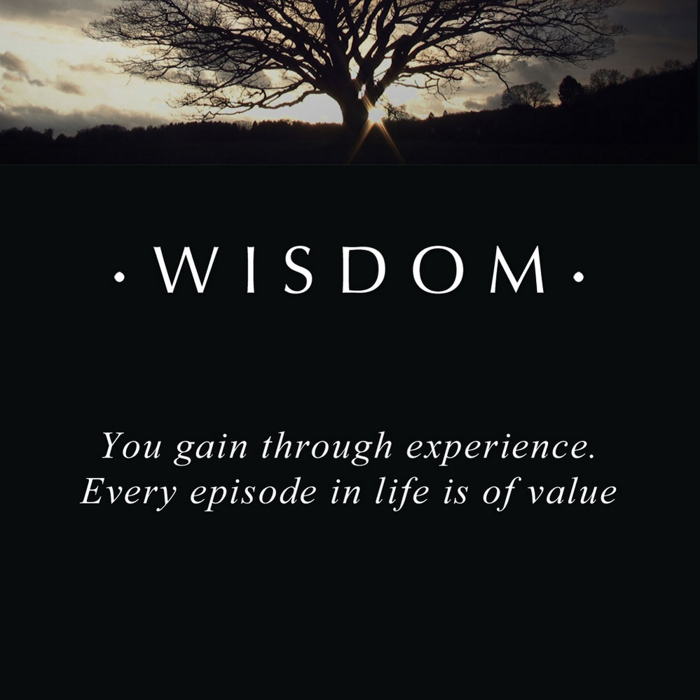 PANDORA ESSENCE Wisdom Charm 796016 Ben Bridge Jeweler