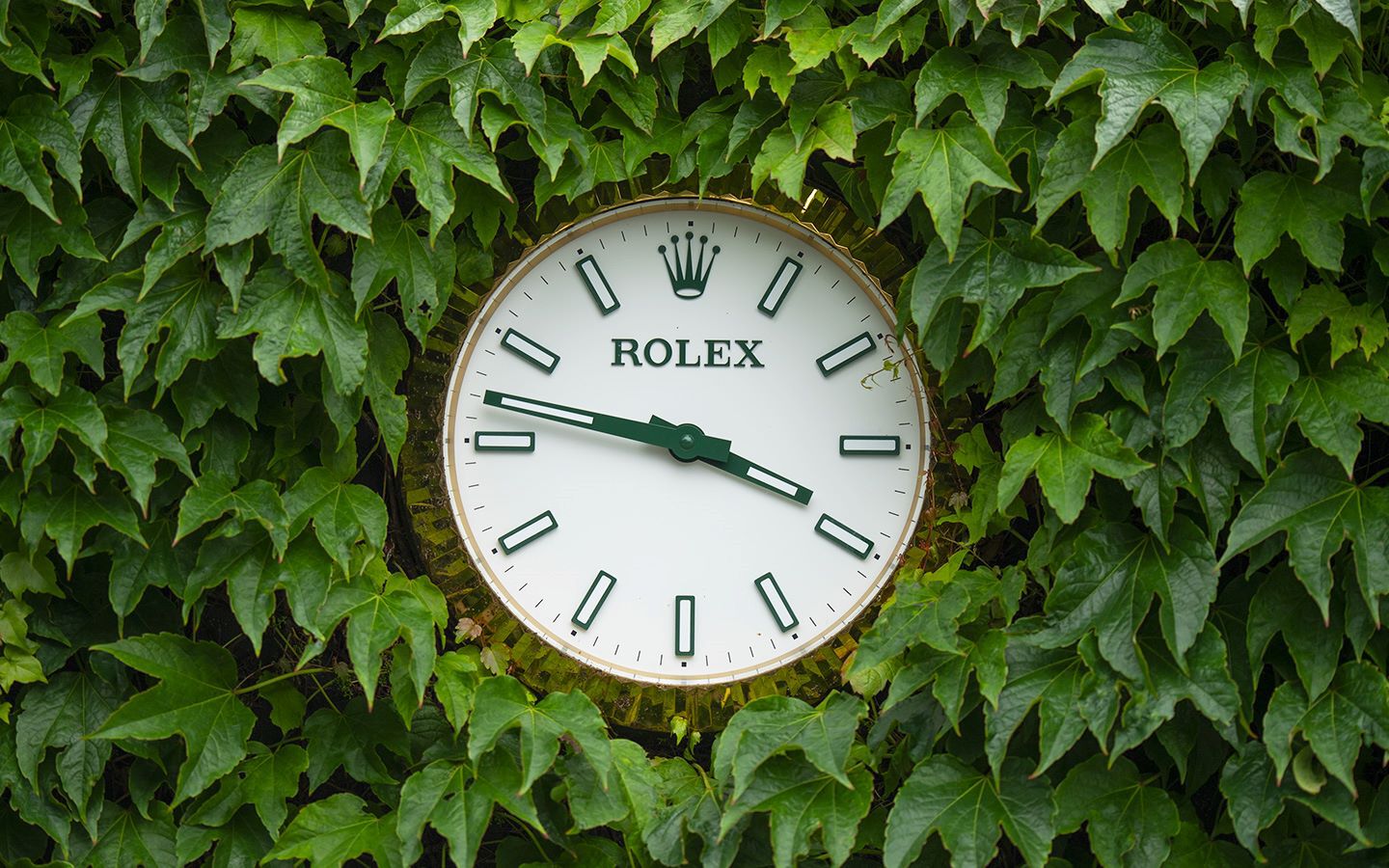 The iconic Rolex  clock at Wimbledon, surrounded by green leaves