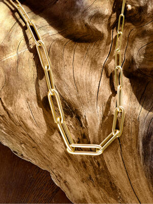 A yellow gold paperclip link necklace is draped over a smooth piece of driftwood.