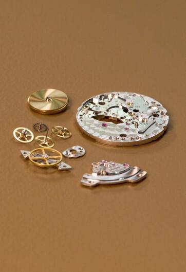 Internal components of watch