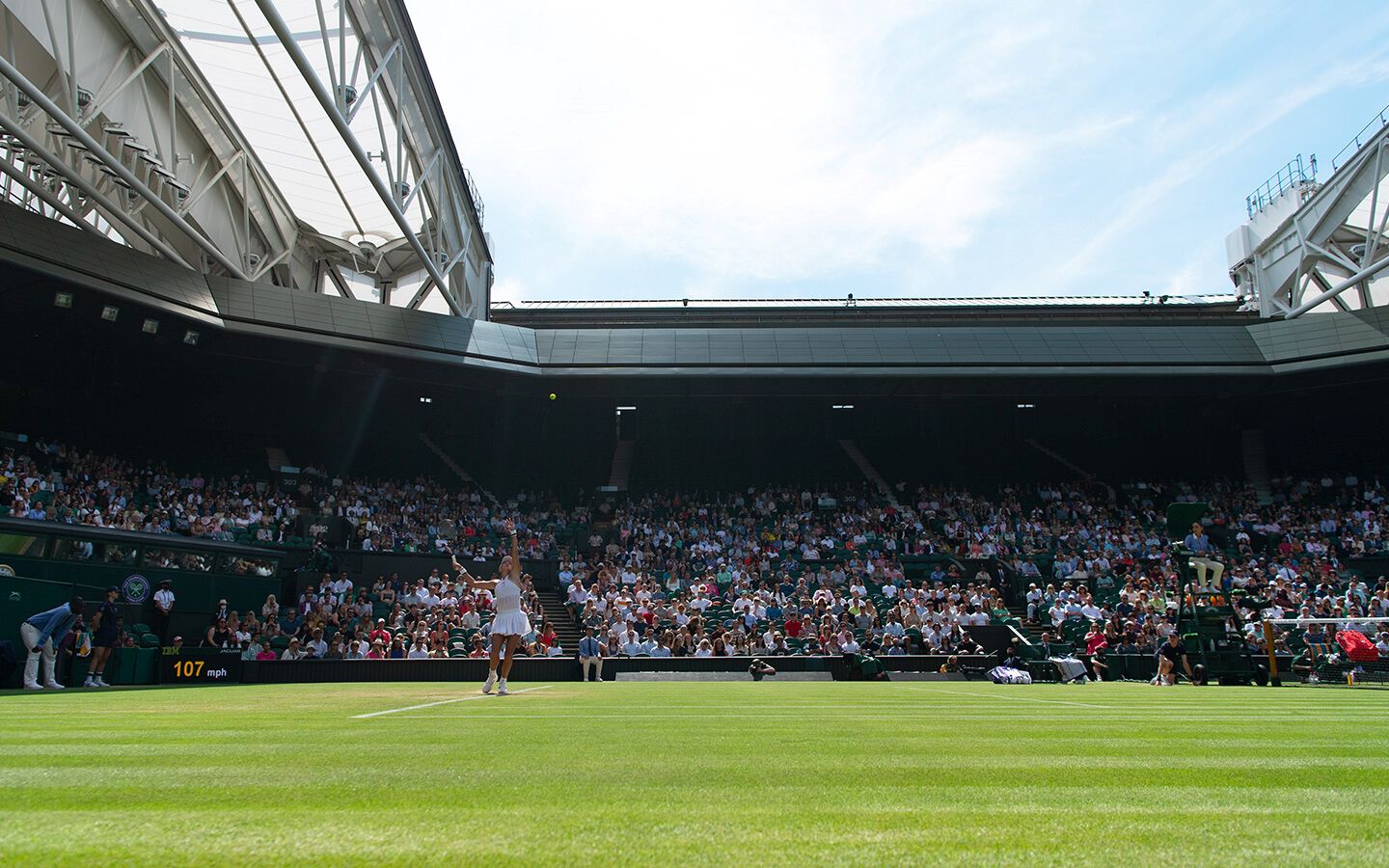 The stands are packed at Wimbledon as a tennis star prepares her serve.