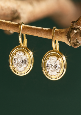 A pair of solitaire diamond earrings dangle from a small tree branch. 