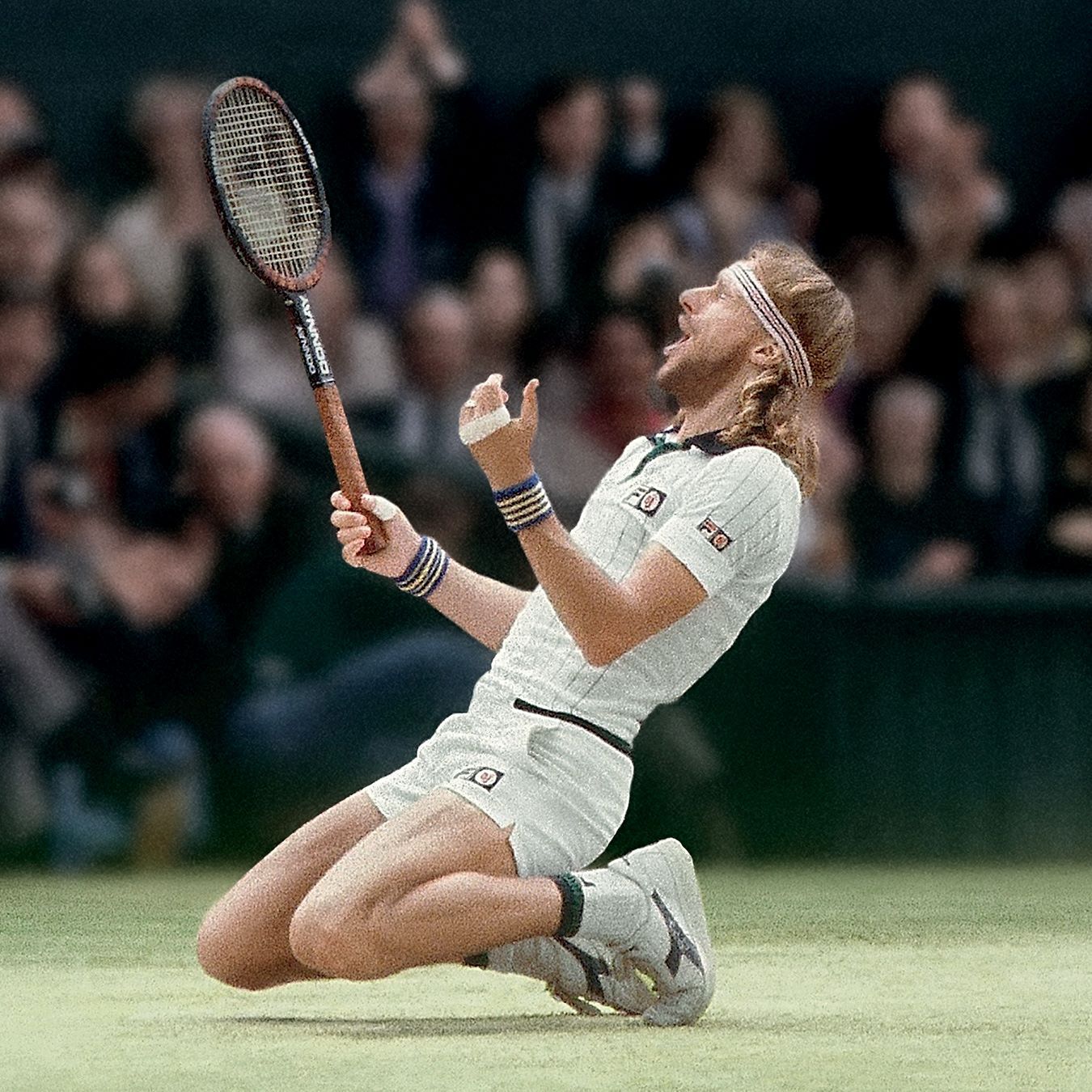 Wimbledon champion drops to his knees in celebration in front of an adoring crowd