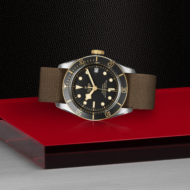 TUDOR Black Bay S&G Watch Black Dial, 41mm image number 3