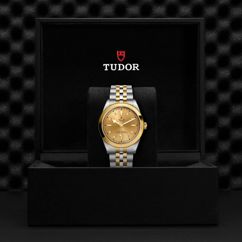 TUDOR Black Bay 41 S&G Champagne-Colour With Diamond Dial Watch, 41mm image number 4