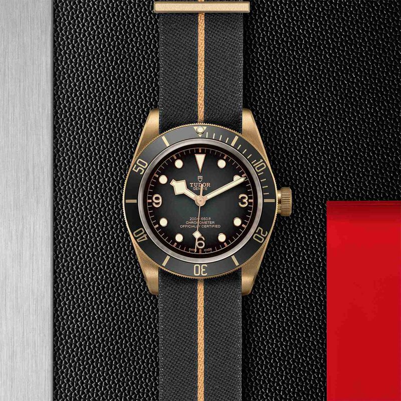 TUDOR Black Bay Watch Bronze Case Grey Dial Fabric Strap, 43mm image number 4