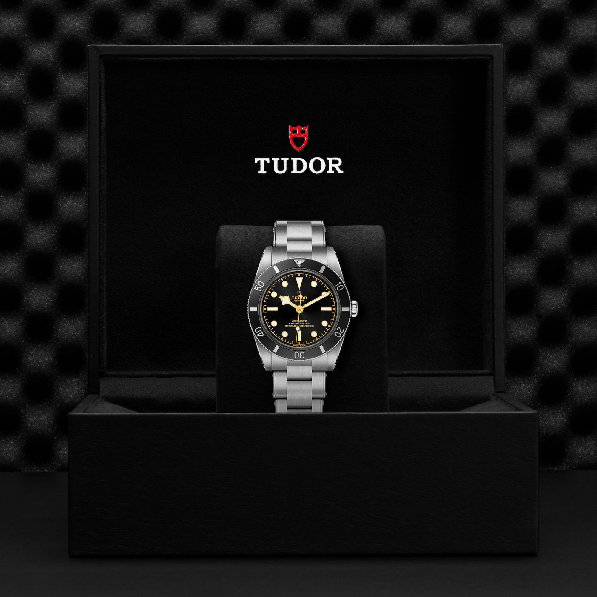 TUDOR Black Bay 54 Black Dial Watch, 37mm