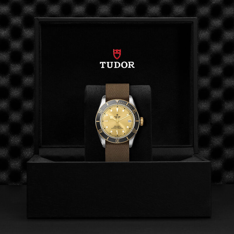 TUDOR Black Bay S&G 41 Champagne-Colour Domed Dial Watch, 41mm image number 4