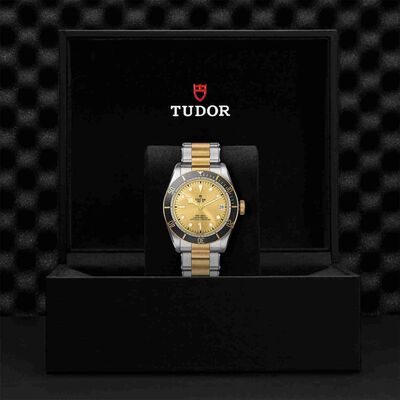 TUDOR Black Bay S&G Watch Steel Case Champagne Dial Steel And Gold Bracelet, 41mm