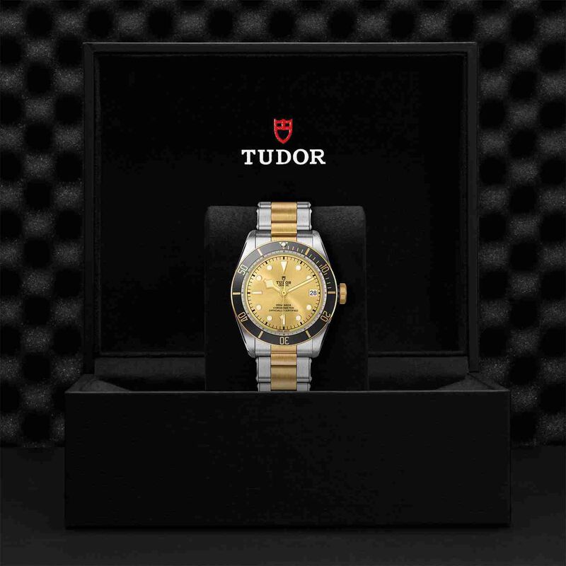 TUDOR Black Bay S&G Watch Steel Case Champagne Dial Steel And Gold Bracelet, 41mm image number 1