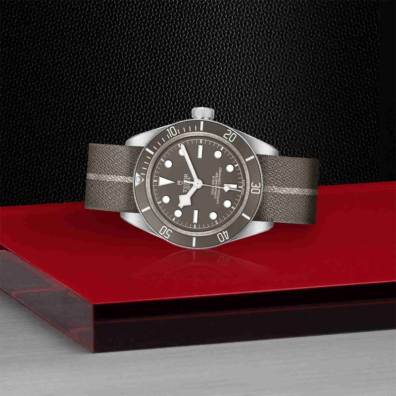 TUDOR Black Bay Fifty-Eight 925 Watch Silver Case Taupe Dial Fabric Strap, 39mm image number 2