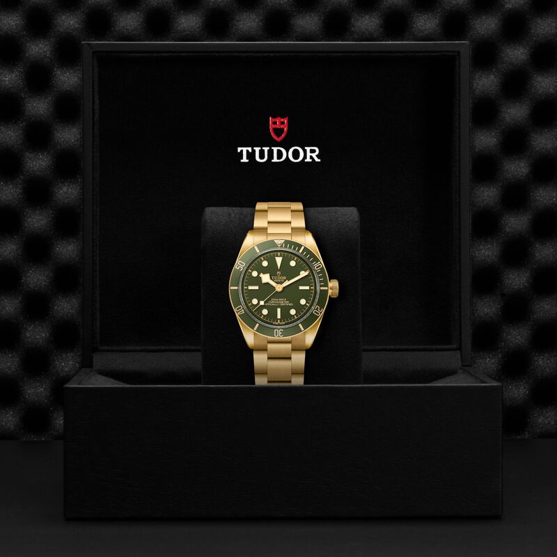TUDOR Black Bay 58 18K Green Dial Watch, 39mm image number 4