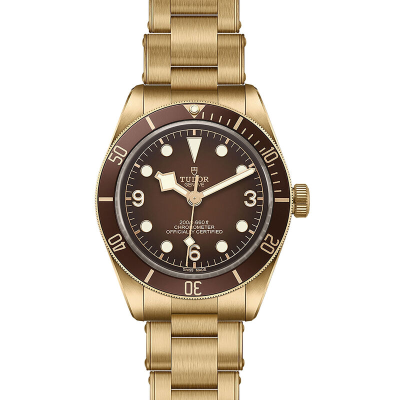 TUDOR Black Bay 58 Bronze Watch Brown Dial, 39mm image number 1