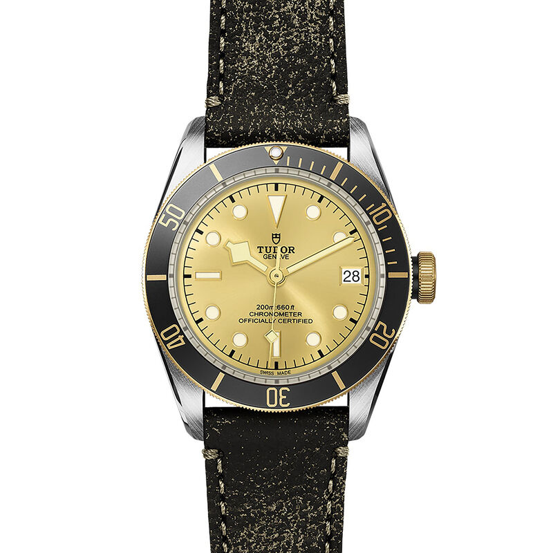 TUDOR Black Bay S&G 41 Gold Champagne Dial Leather Strap Watch, 41mm