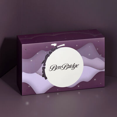 Ben Bridge 2025 Advent Calendar