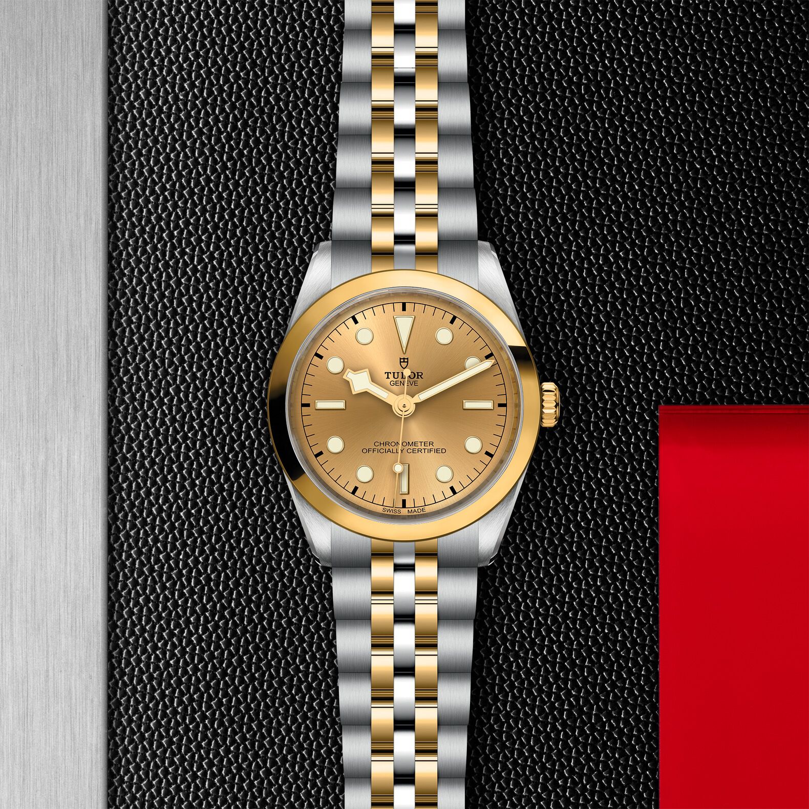 TUDOR Black Bay 36 S&G M79643-0005 Gold Tone