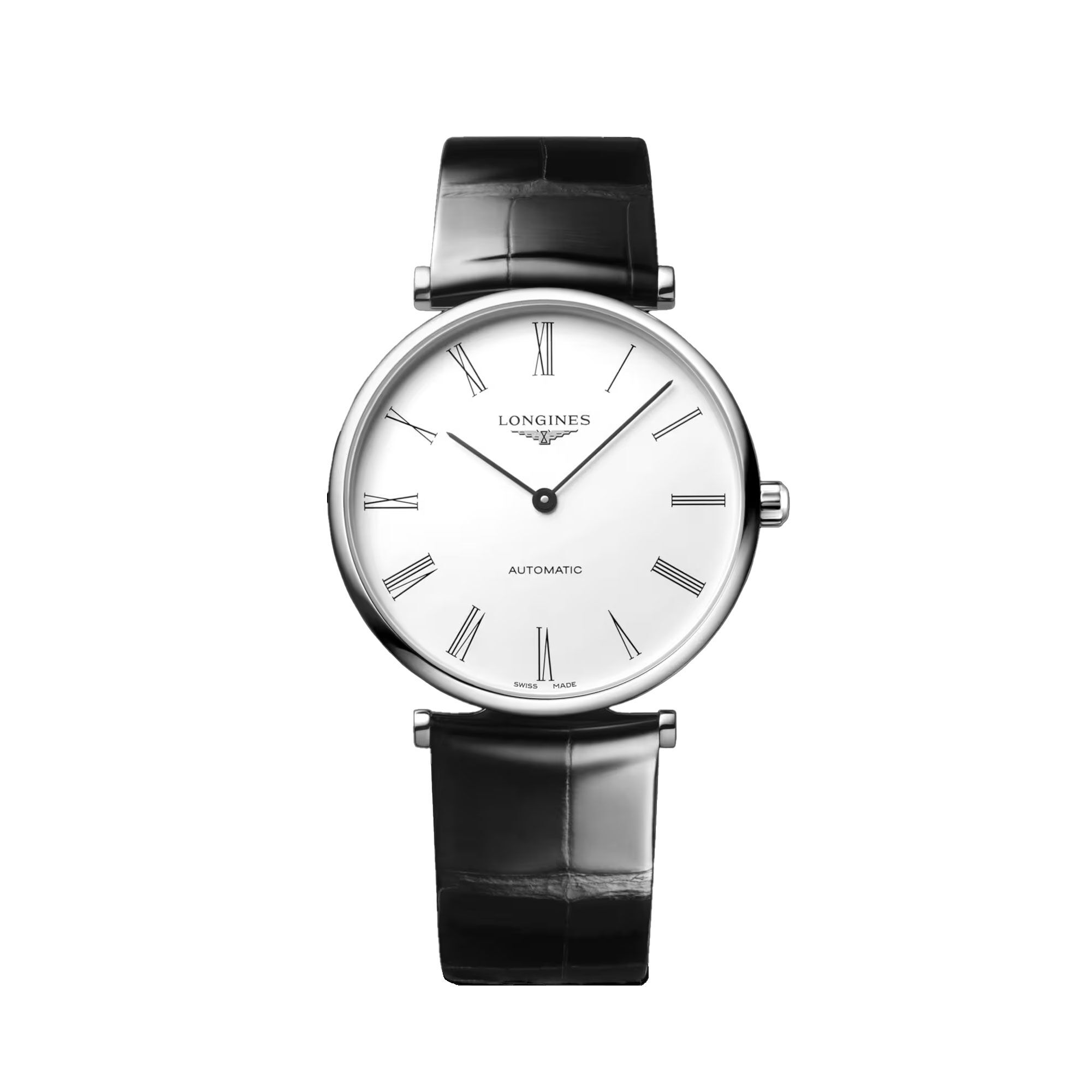 12165445.jpg?sw=800&sh=800