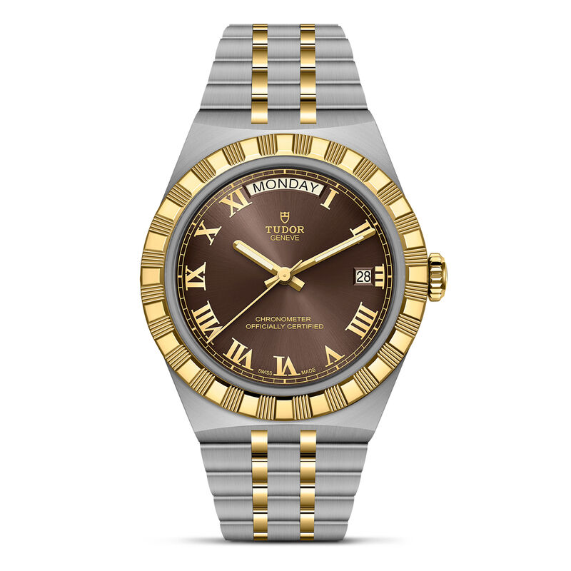 TUDOR Royal Brown Dial Watch, 40mm image number 0