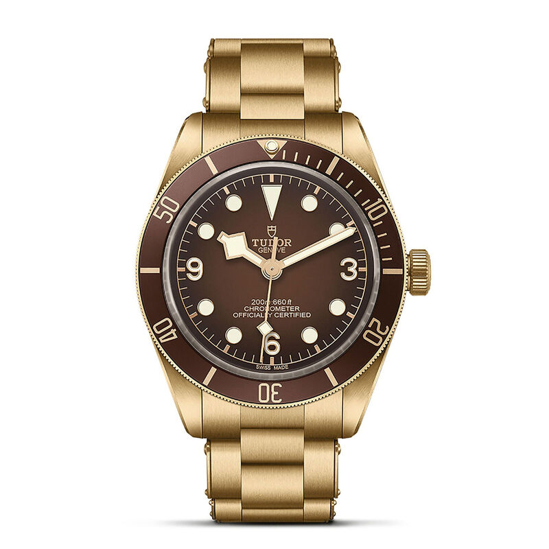 TUDOR Black Bay 58 Bronze Watch Brown Dial, 39mm image number 0