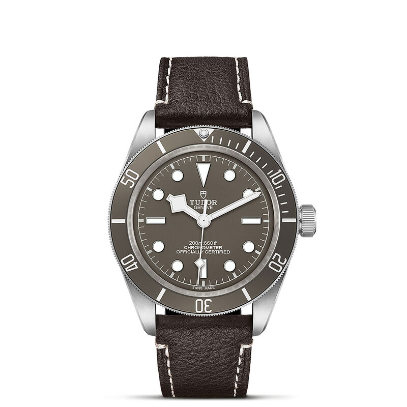 TUDOR Black Bay 58 925 Watch Taupe Dial, 39mm image number 0