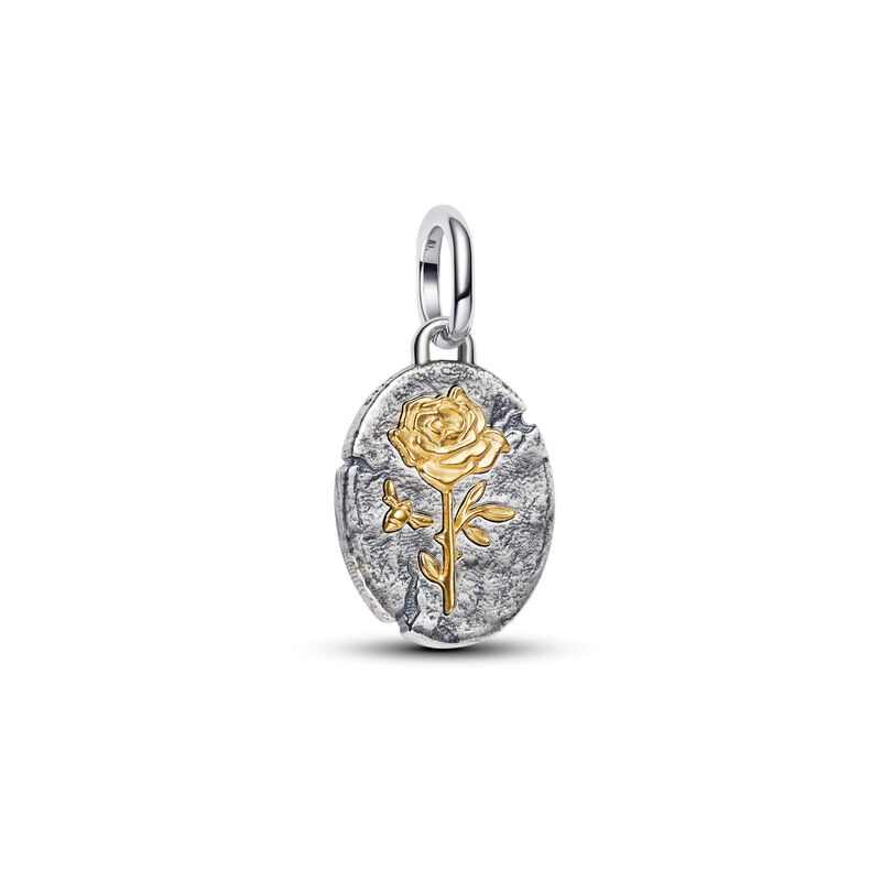 Pandora Rose Medallion Charm image number 0