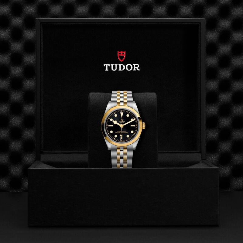 TUDOR Black Bay 36 S&G Watch, 36mm image number 5