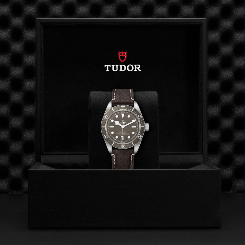 TUDOR Black Bay 58 925 Watch Taupe Dial, 39mm image number 4