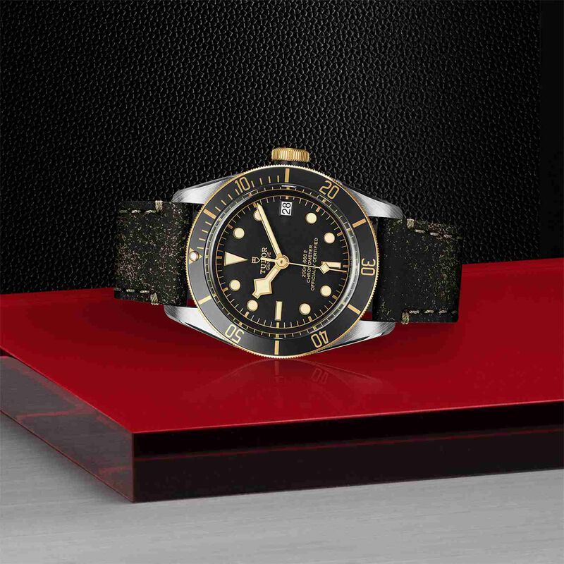 TUDOR Black Bay S&G Watch Steel Case Black Dial Leather Strap, 41mm image number 2