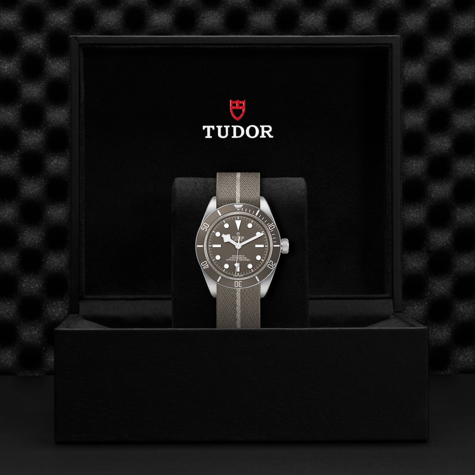 TUDOR Black Bay 58 925 Taupe Dial Watch, 39mm