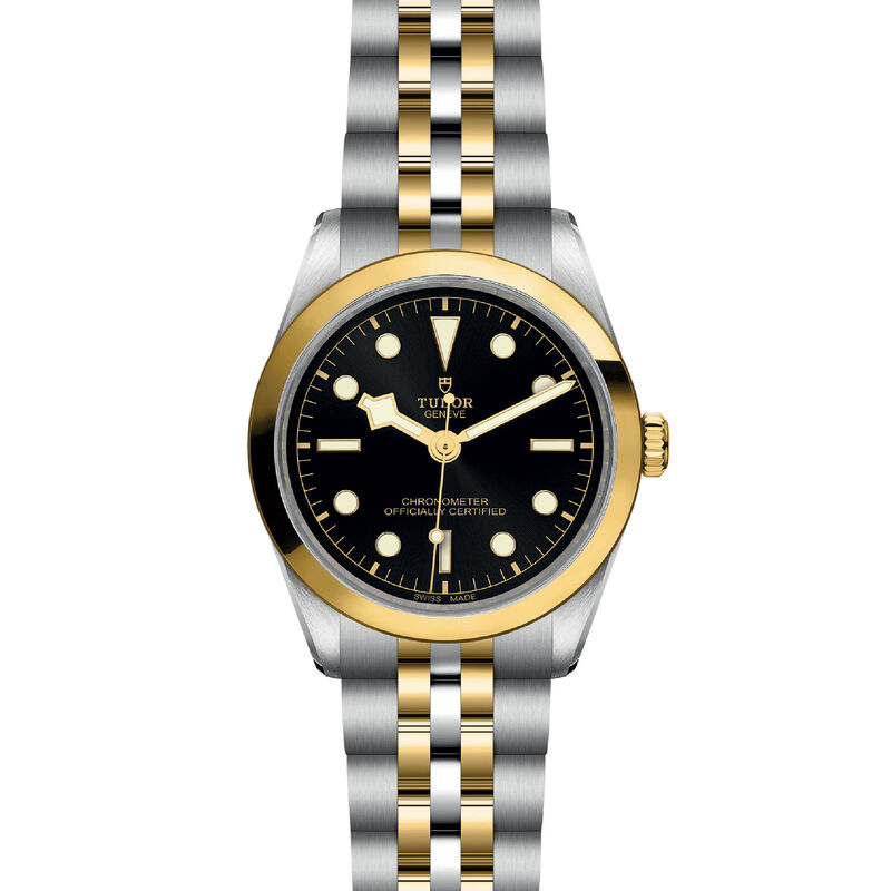 TUDOR Black Bay 36 S&G Watch, 36mm image number 2