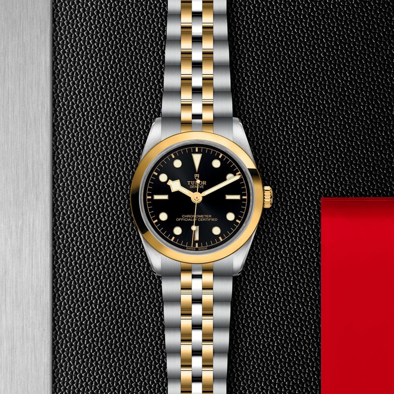 TUDOR Black Bay 36 S&G Watch, 36mm image number 3