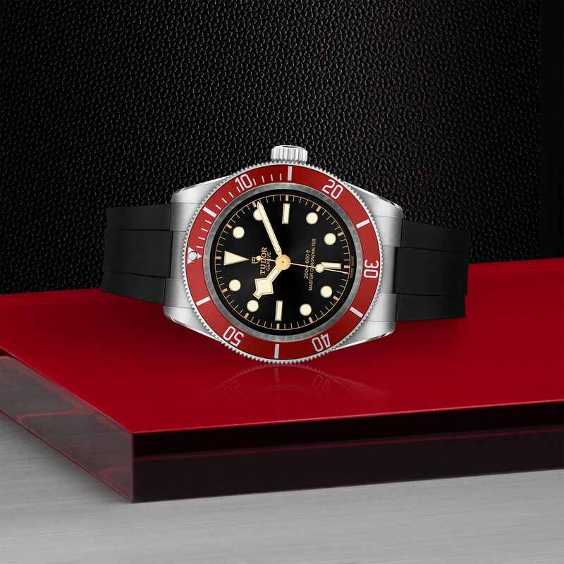 TUDOR Black Bay Watch Black Dial Chronometer, 41mm image number 3