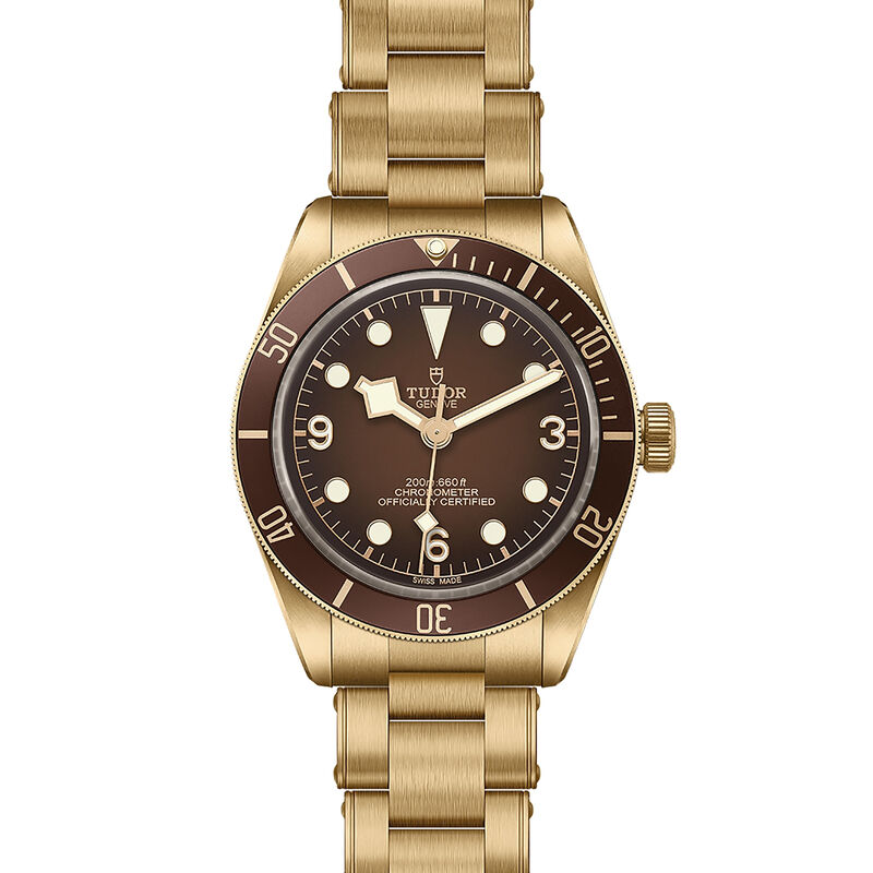 TUDOR Black Bay 58 Bronze Watch Brown Dial, 39mm image number 1