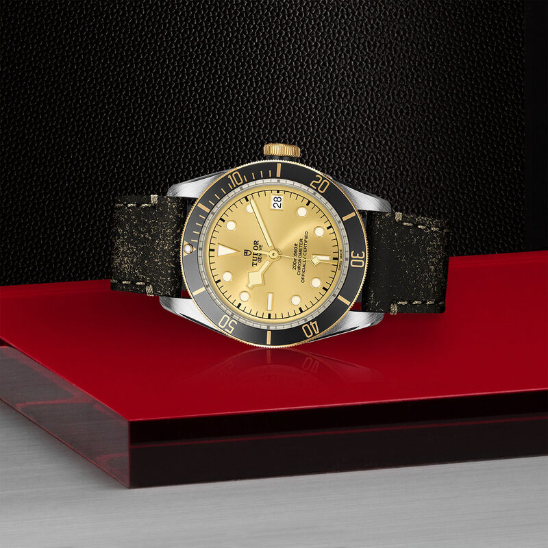 TUDOR Black Bay S&G 41 Gold Champagne Dial Leather Strap Watch, 41mm