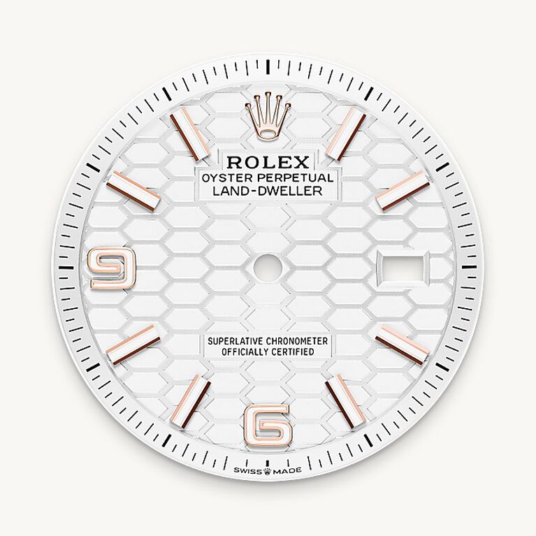 rolex land-dweller in 18 ct everose gold, m127235-0001 - intense white dial - ben bridge