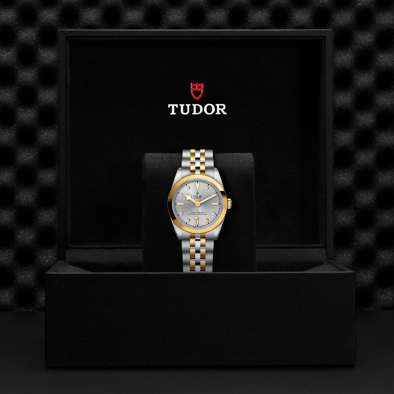 TUDOR Black Bay S&G Silver With Diamond Dial Watch, 31mm image number 4