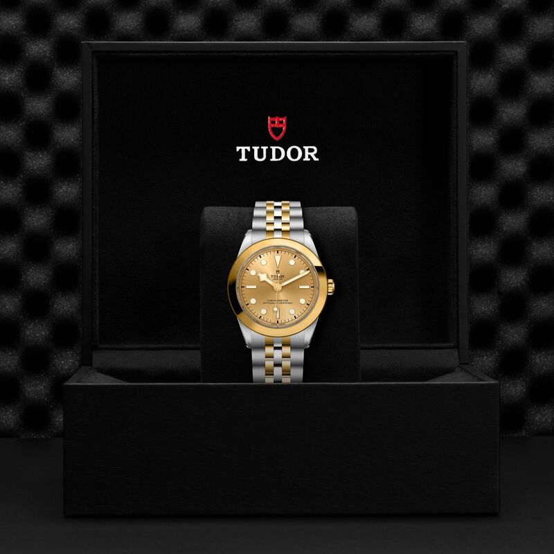 TUDOR Black Bay S&G Champagne Dial Watch, 39mm image number 4