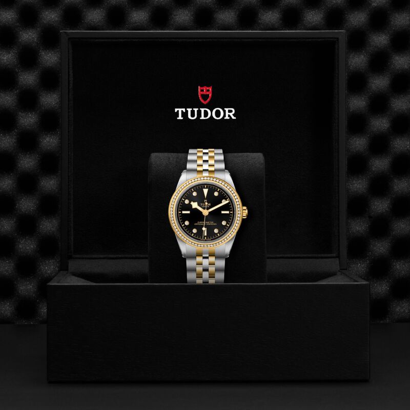 TUDOR Black Bay S&G Watch, 39MM image number 4