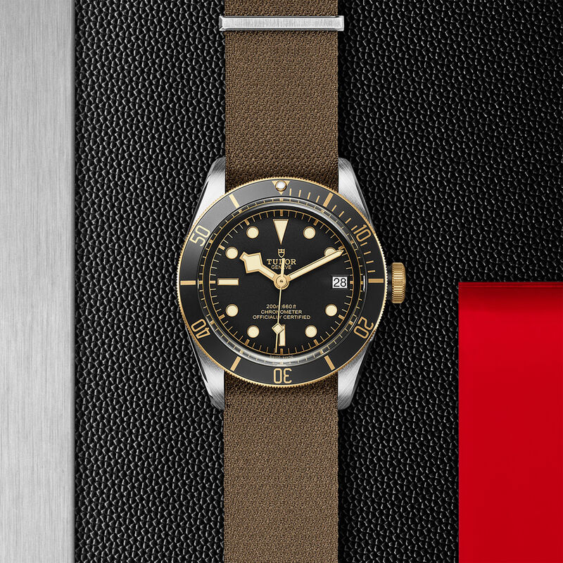 TUDOR Black Bay S&G Watch Black Dial, 41mm image number 2