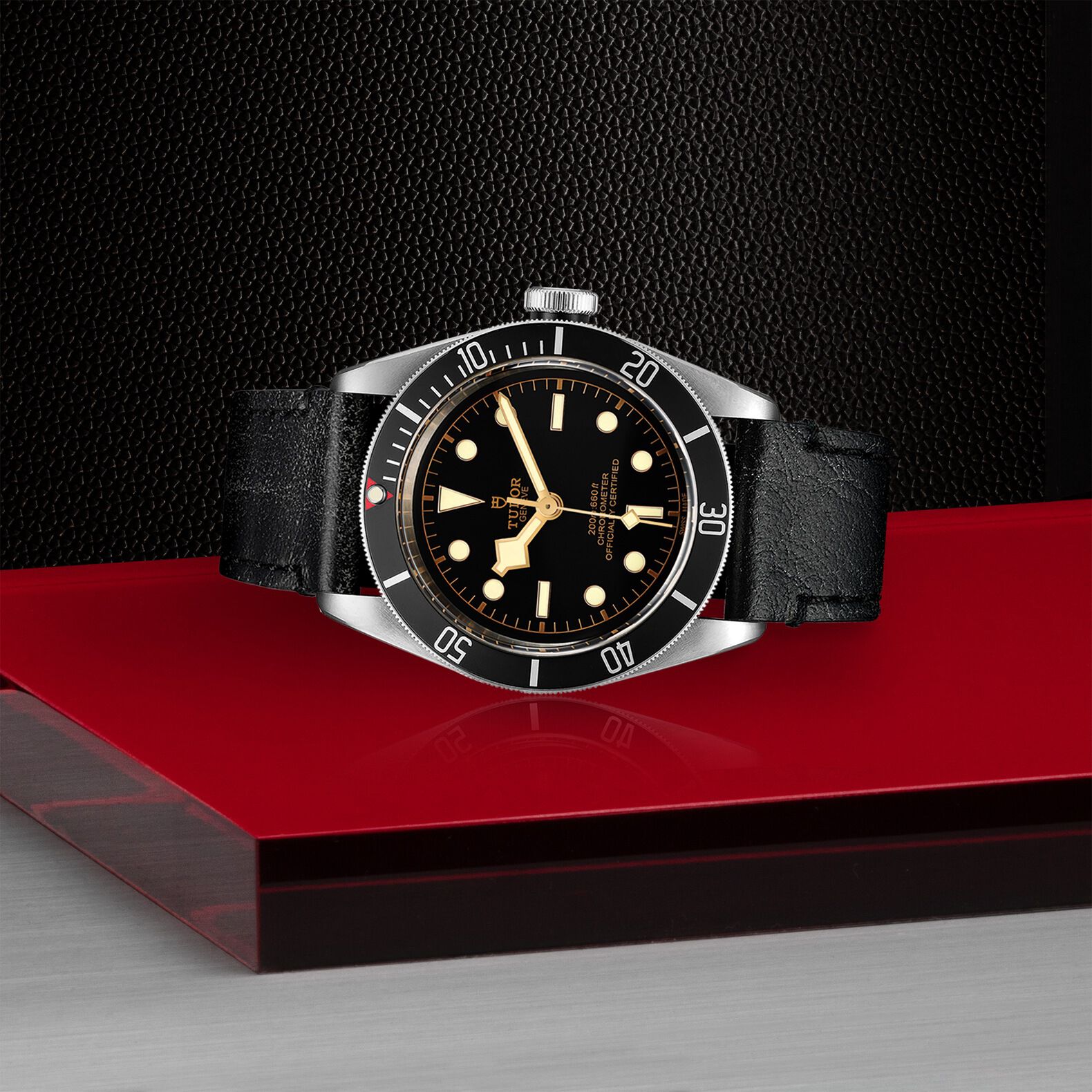 tudor black bay 41