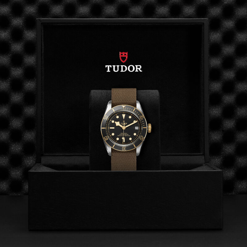 TUDOR Black Bay S&G Watch Black Dial, 41mm image number 4