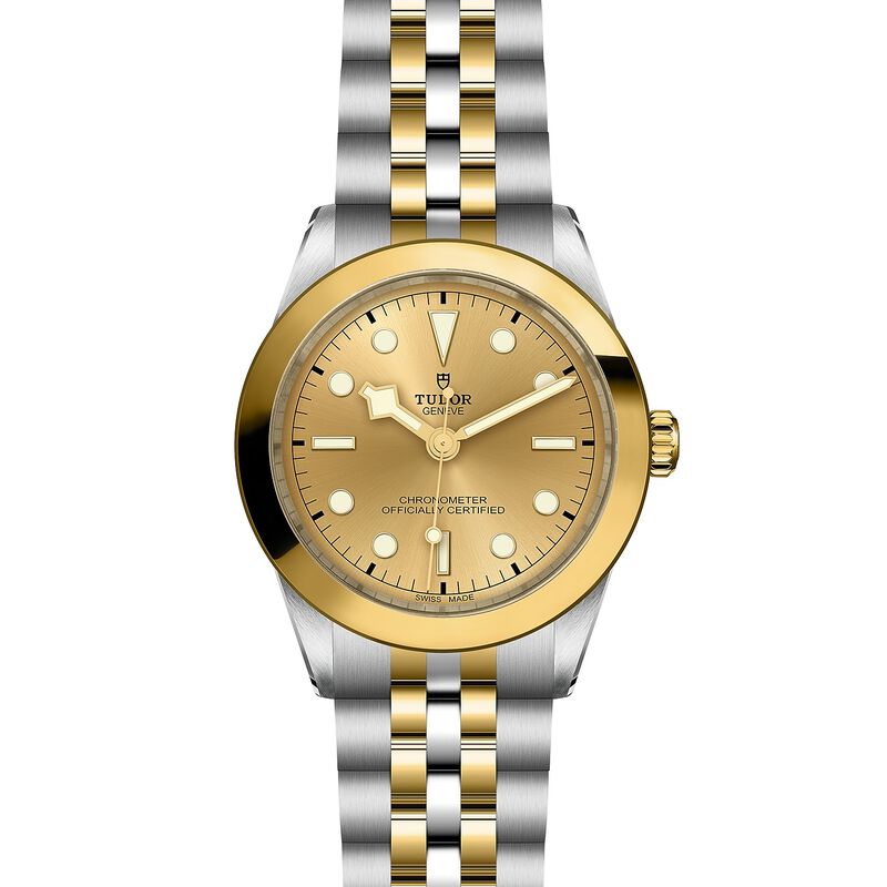 TUDOR Black Bay S&G Champagne Dial Watch, 39mm image number 1