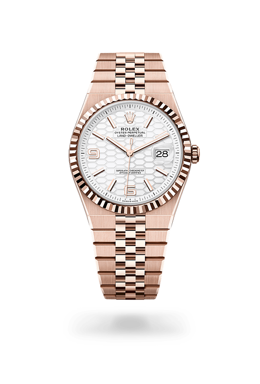 rolex land-dweller in 18 ct everose gold, m127335-0001 - ben bridge