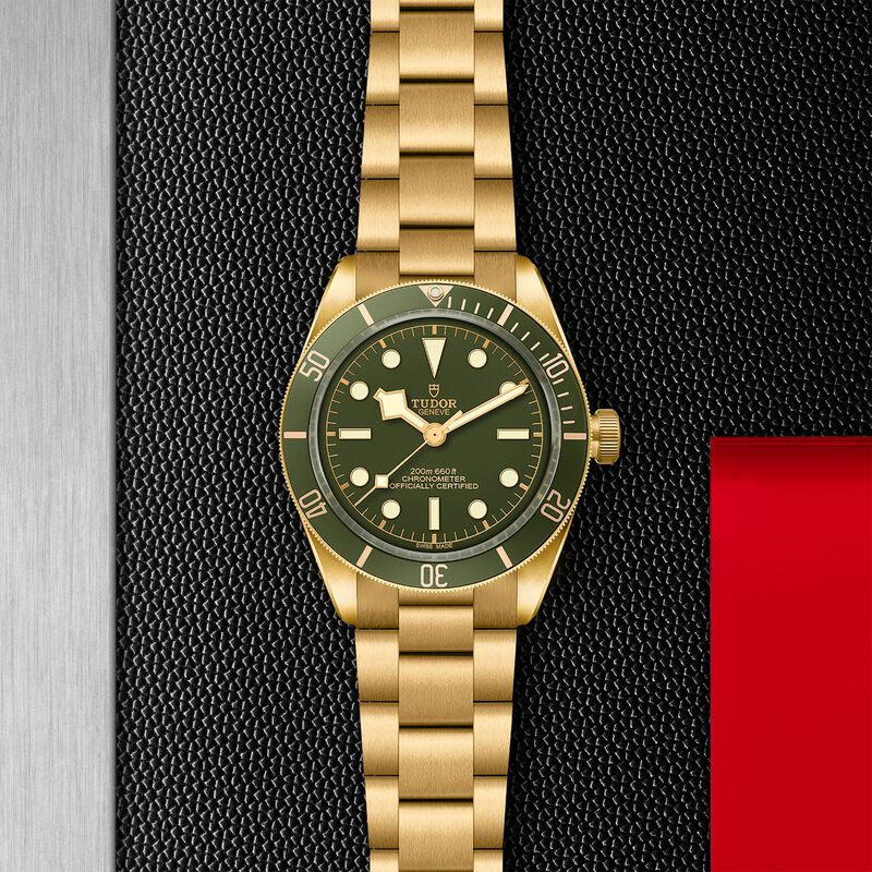 TUDOR Black Bay 58 18K Green Dial Watch, 39mm image number 2