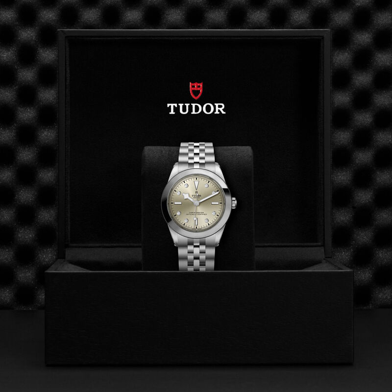 TUDOR Black Bay 39 Watch Silver Dial, 39mm image number 4