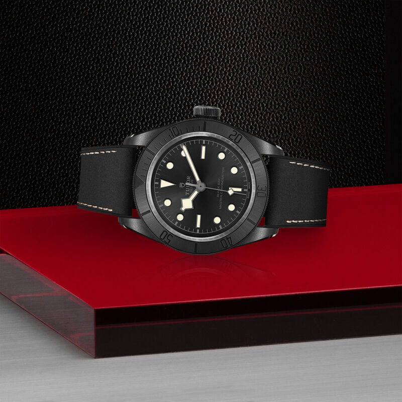 TUDOR Black Bay Watch Black Dial, 41mm image number 3