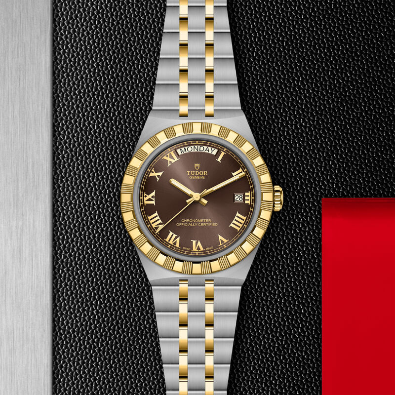 TUDOR Royal Brown Dial Watch, 40mm image number 2