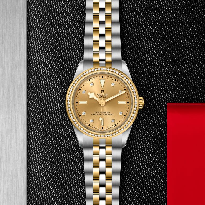 TUDOR Black Bay 39 S&G Watch Champagne Dial, 39mm image number 2