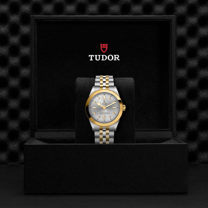 TUDOR Black Bay 39 S&G Diamond Silver Dial Watch, 39mm image number 4