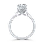 Bella Ponte Diamond Engagement Ring Setting in Platinum